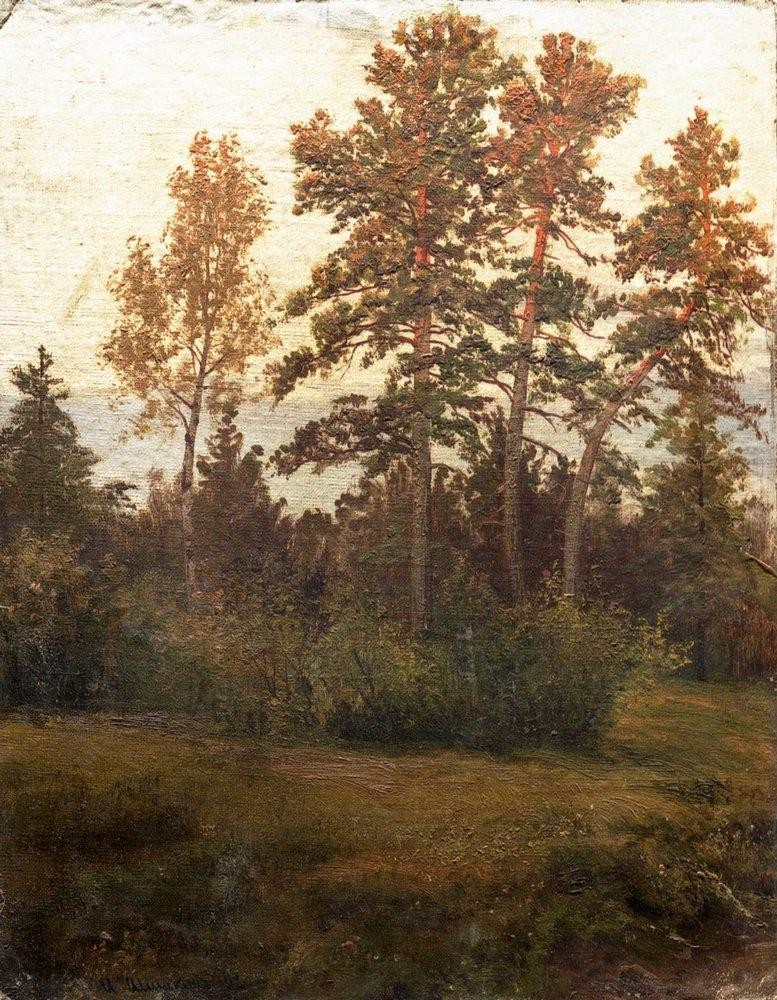 Edge of the Forest by Ivan Shishkin