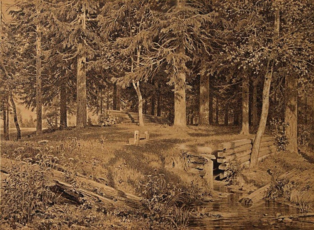 Edge of the Forest (Spruce forest) by Ivan Shishkin
