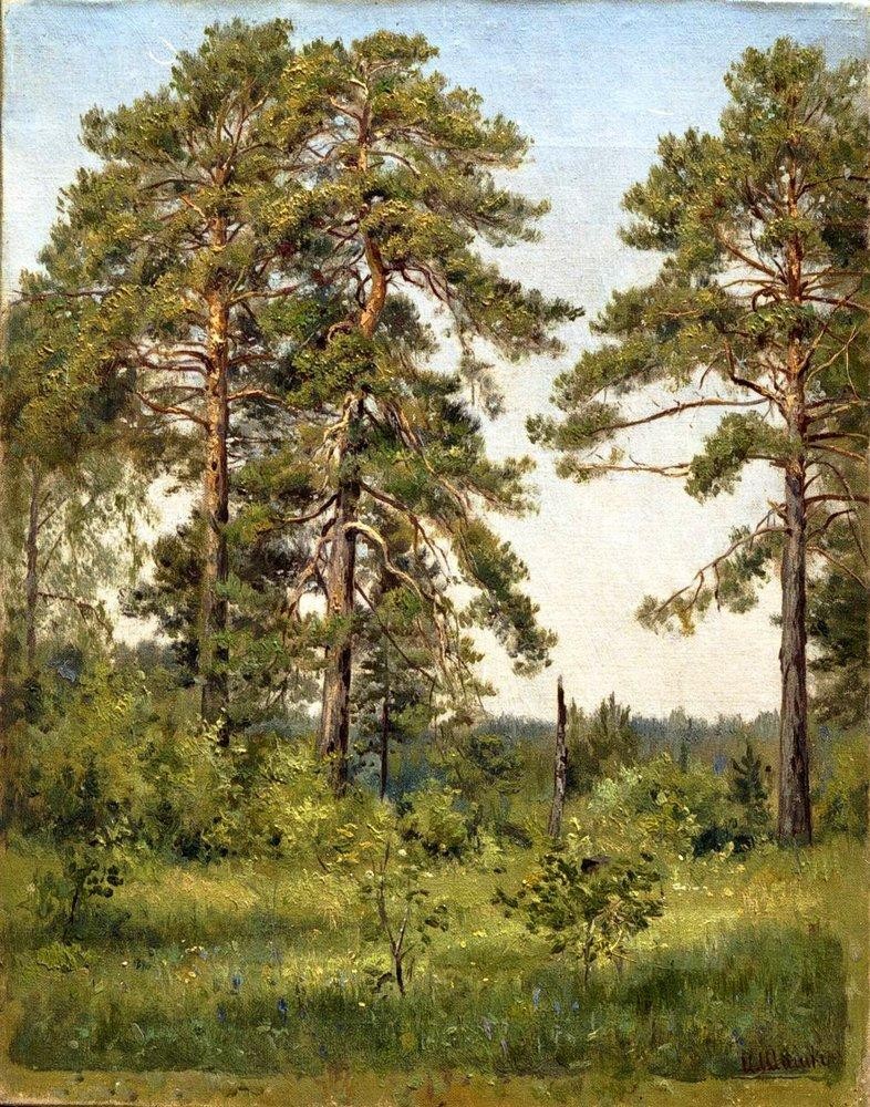 Edge of the pine forest by Ivan Shishkin