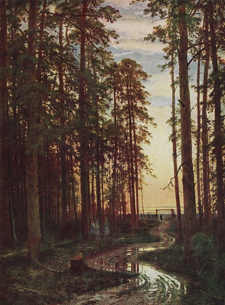 Evening in a pine forest by Ivan Shishkin