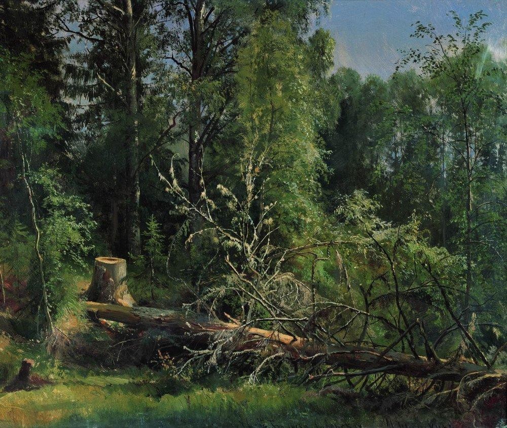 Fallen Tree by Ivan Shishkin