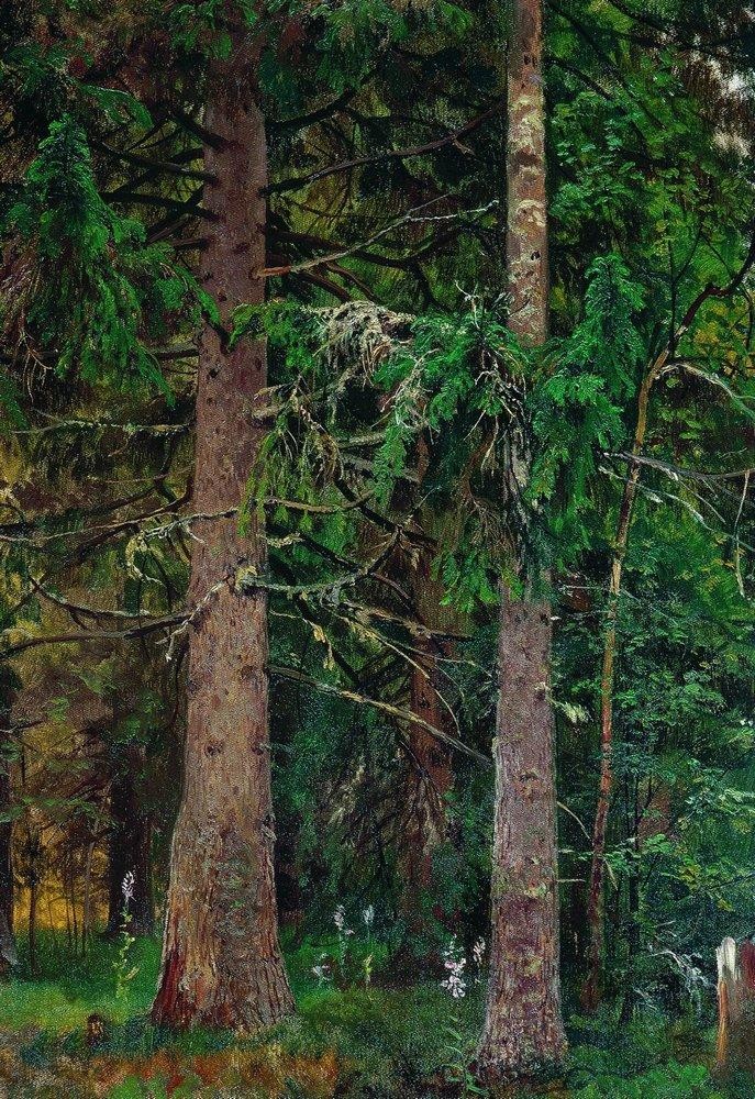 Fir forest by Ivan Shishkin