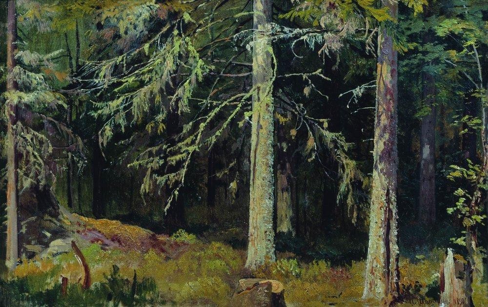 Fir forest by Ivan Shishkin