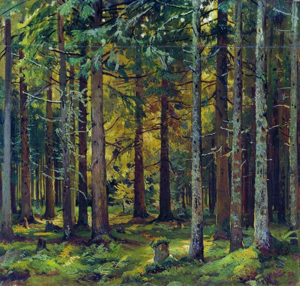 Fir forest by Ivan Shishkin