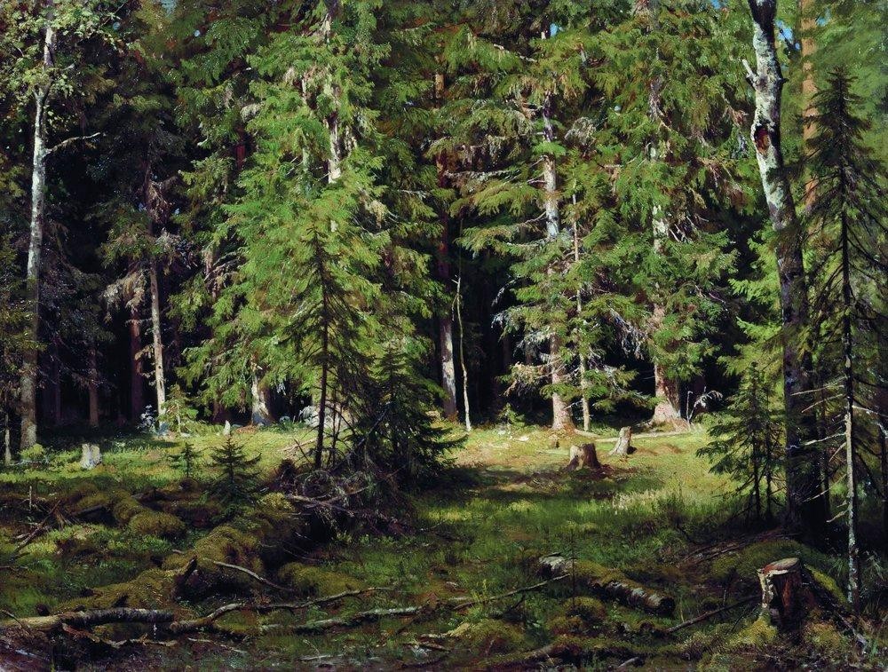 Forest by Ivan Shishkin