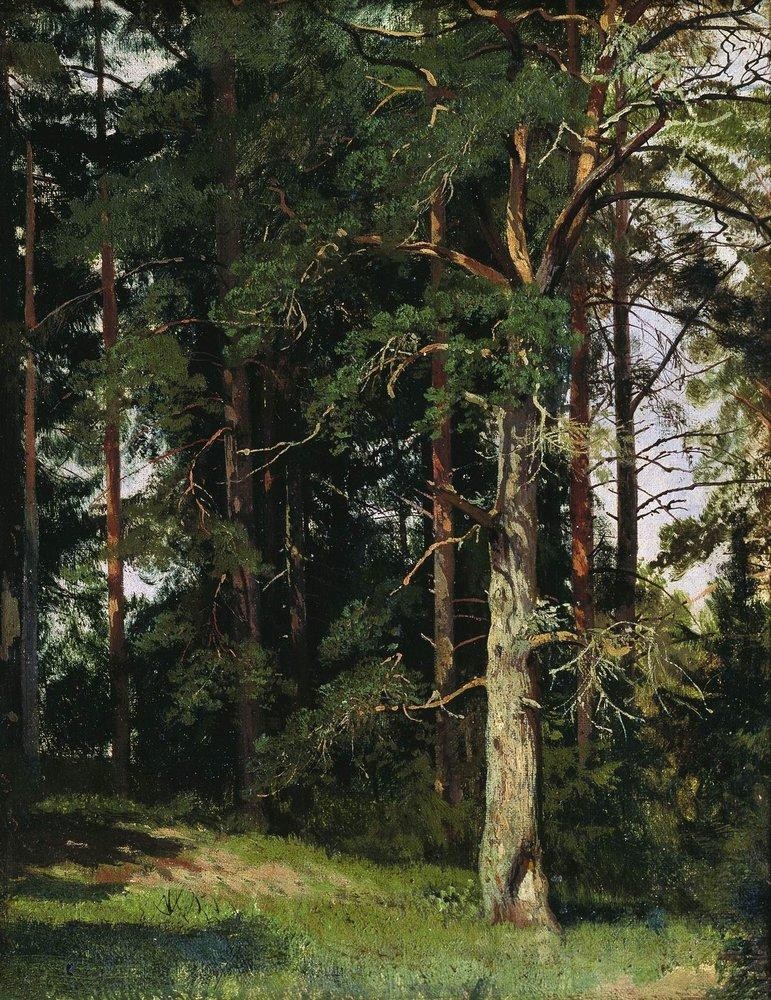 Forest by Ivan Shishkin