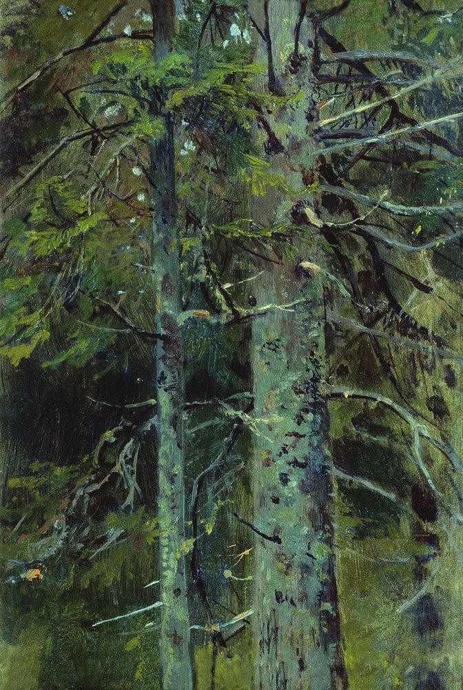 Forest by Ivan Shishkin