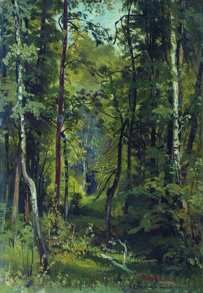 Forest by Ivan Shishkin