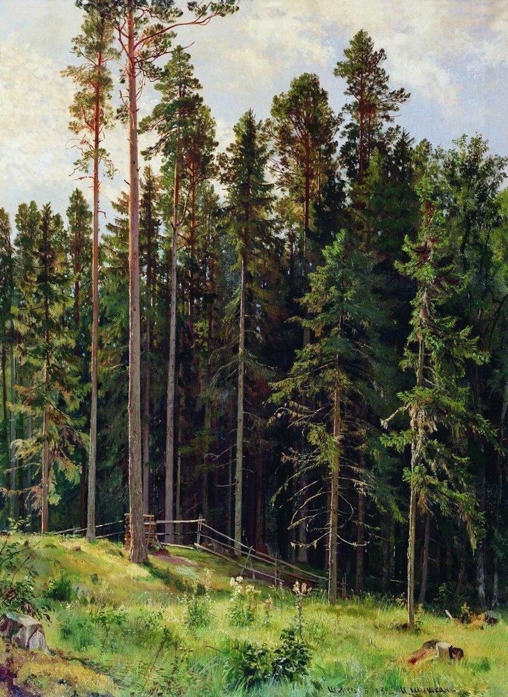 Forest by Ivan Shishkin