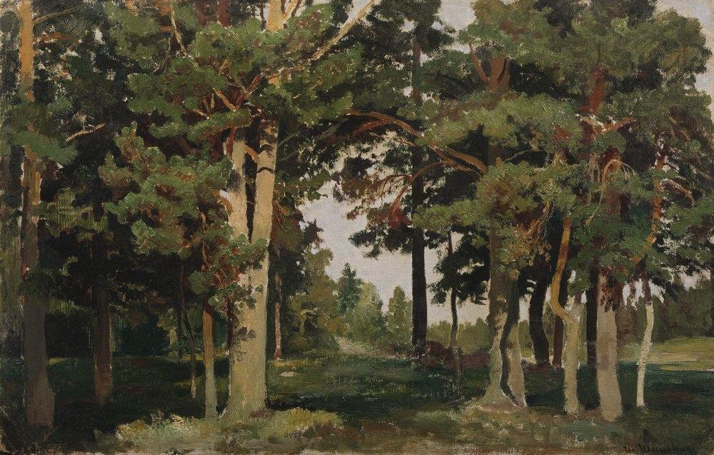 Forest by Ivan Shishkin