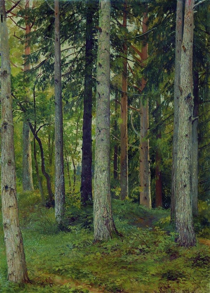 Forest by Ivan Shishkin