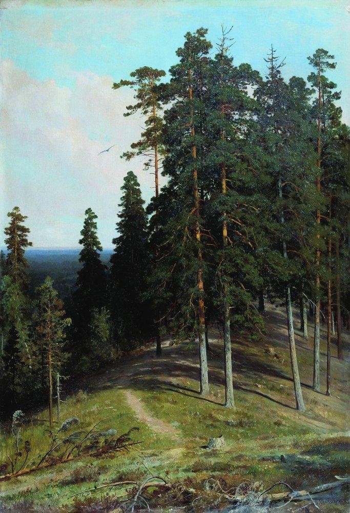 Forest from the mountain by Ivan Shishkin