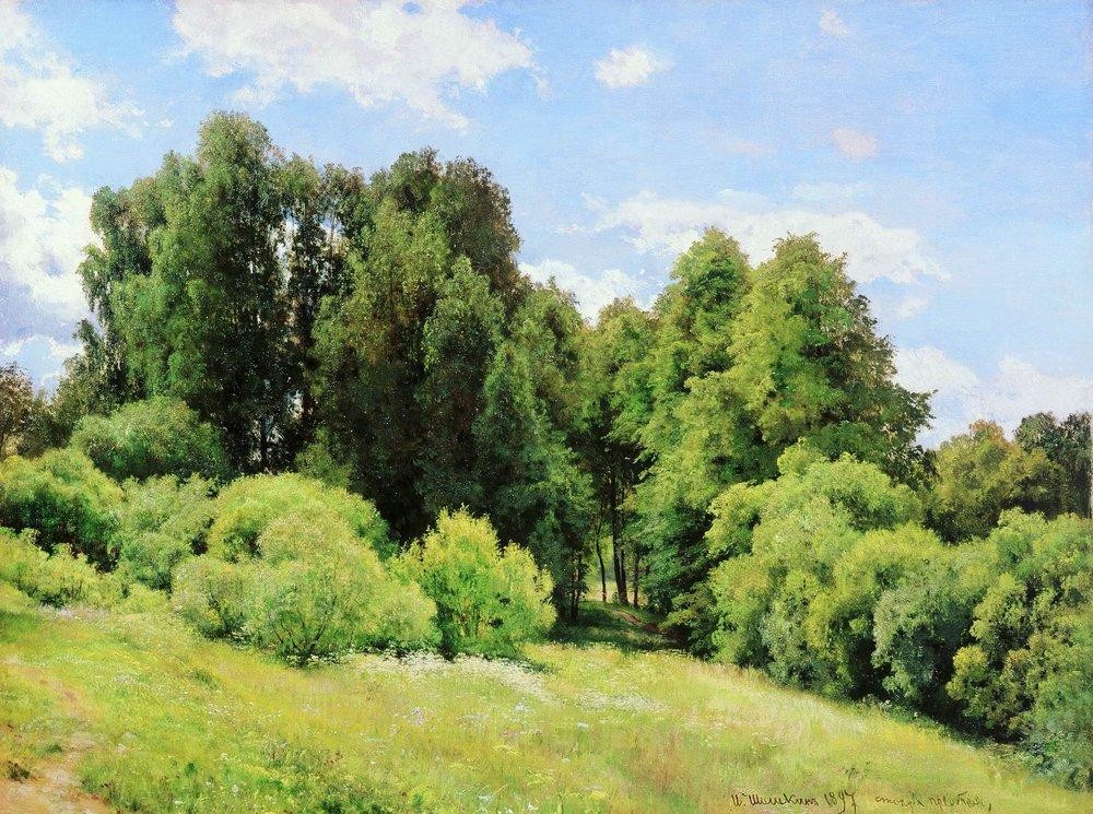 Forest Glade (Glade) by Ivan Shishkin