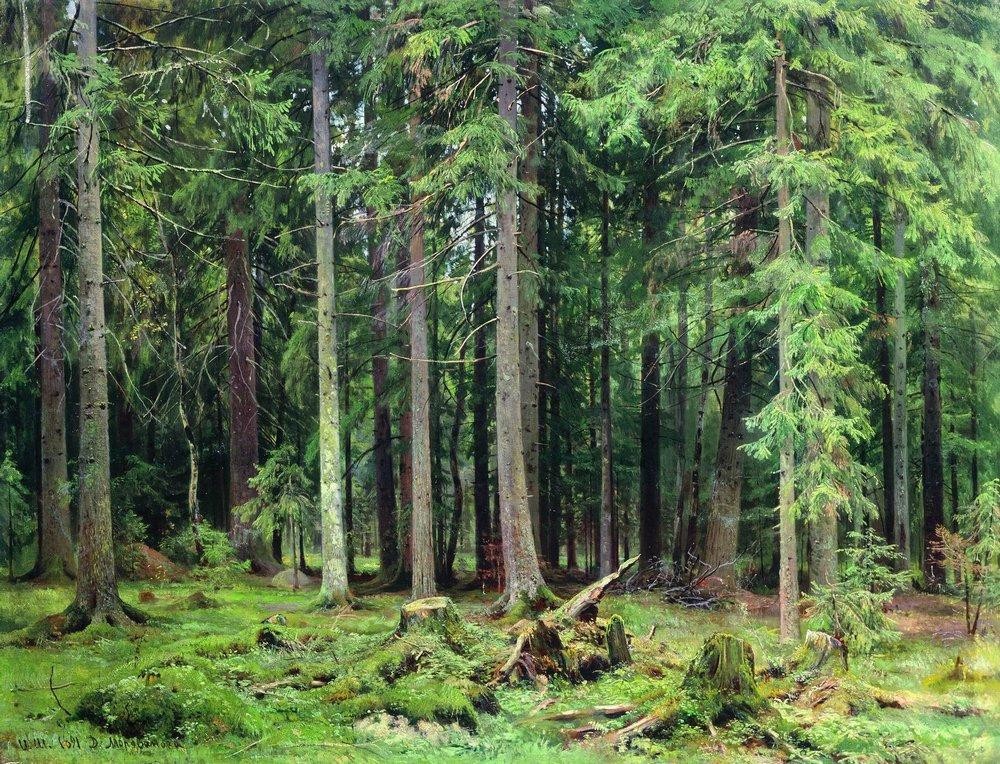 Forest in Mordvinovo by Ivan Shishkin