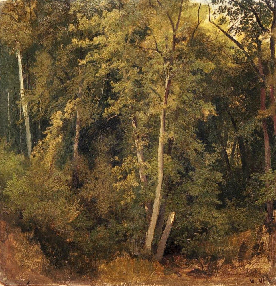Forest Landscape by Ivan Shishkin
