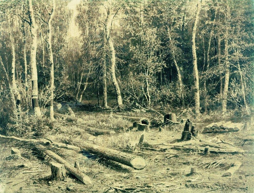 Forest Landscape by Ivan Shishkin