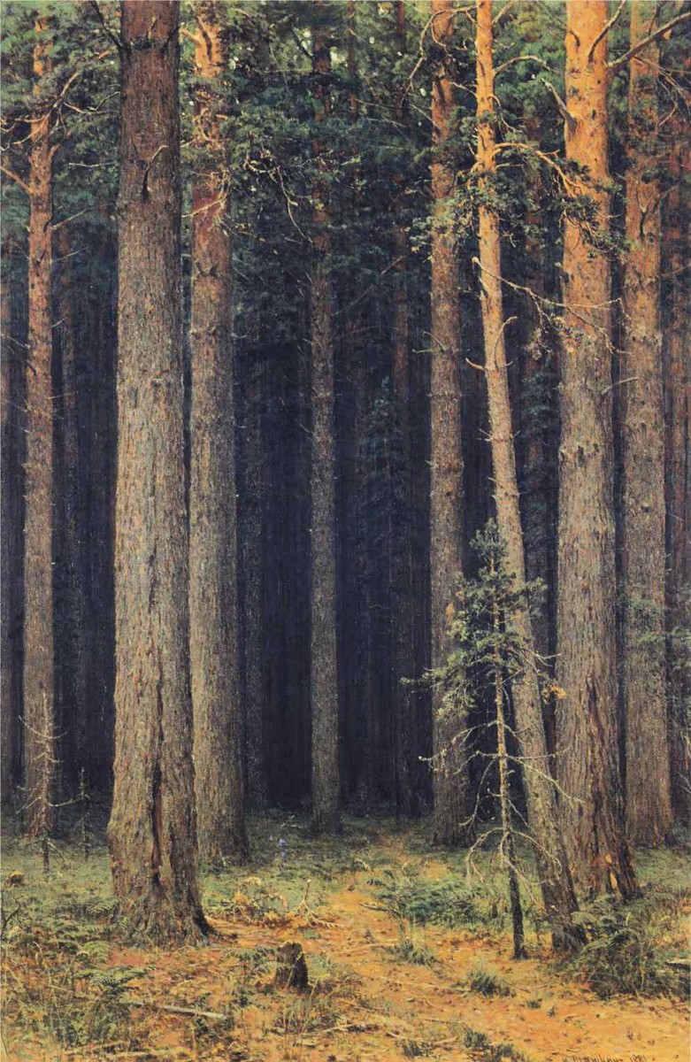Forest Reserve. Pine Grove by Ivan Shishkin