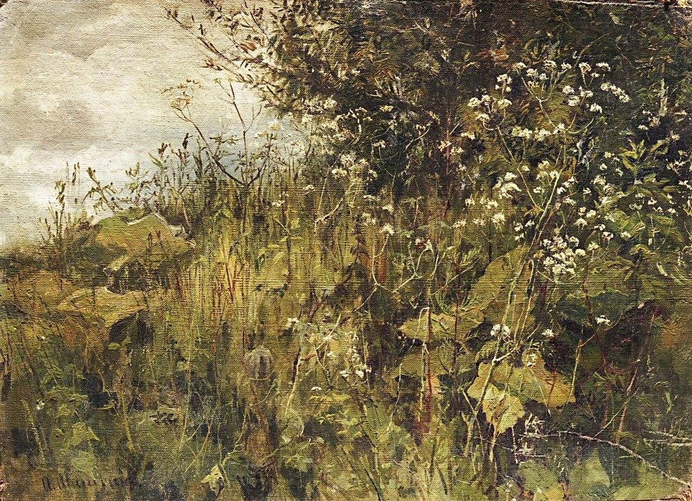Goutweed-grass by Ivan Shishkin
