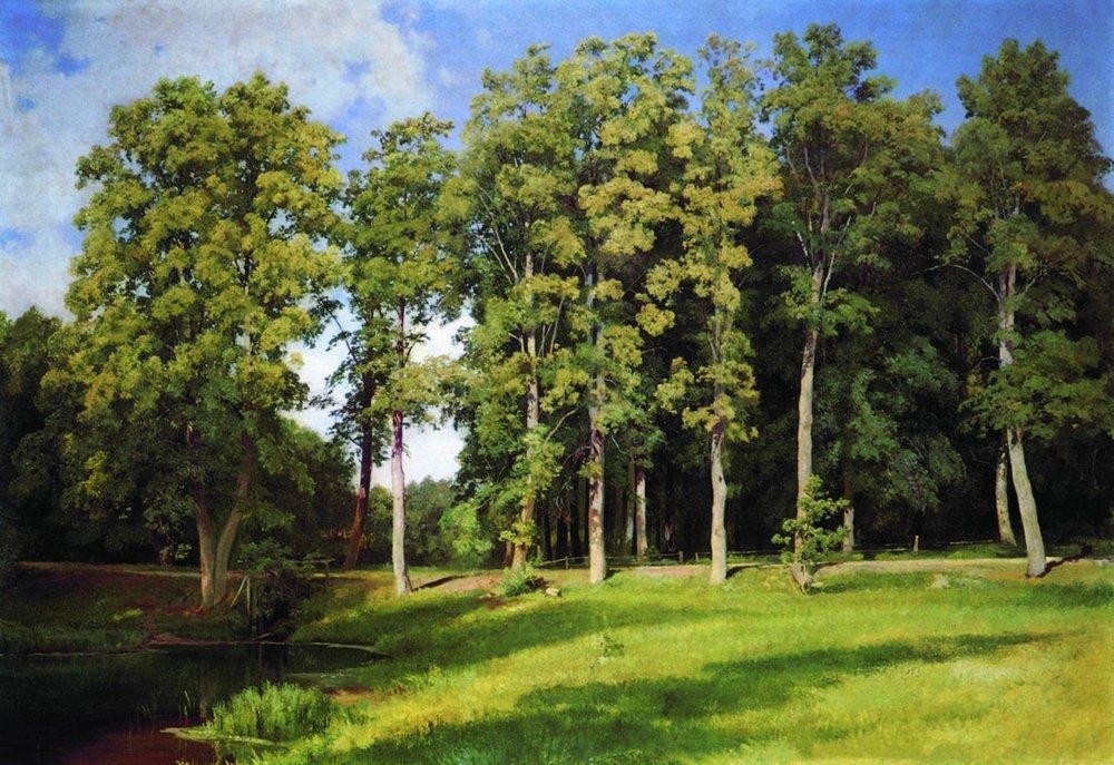Grove by the Pond. Preobrazhenskoye by Ivan Shishkin
