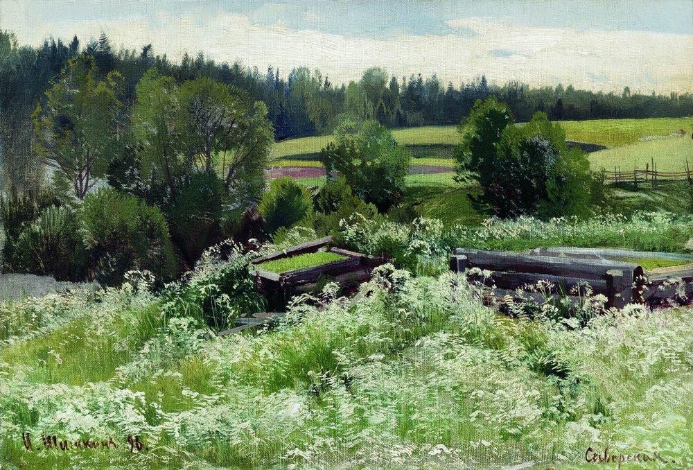 In Siverskaya by Ivan Shishkin