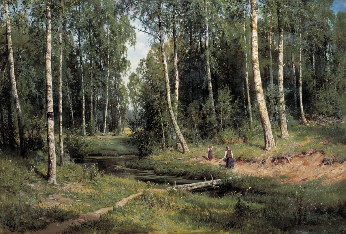 In The Birch Tree Forest by Ivan Shishkin