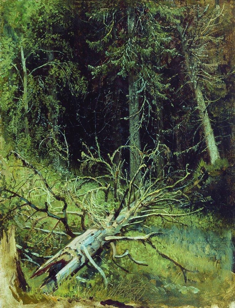 In the fir forest by Ivan Shishkin