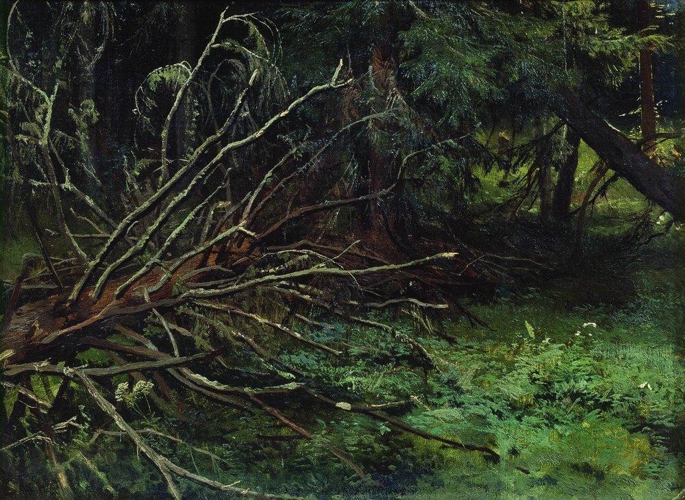 In the fir forest by Ivan Shishkin