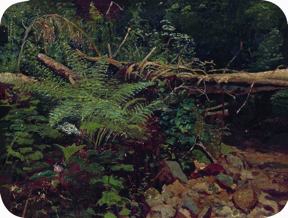 Landscape by Ivan Shishkin