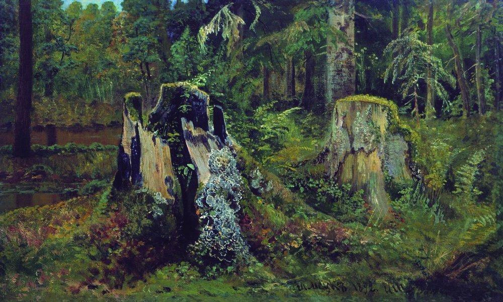 Landscape with stump by Ivan Shishkin