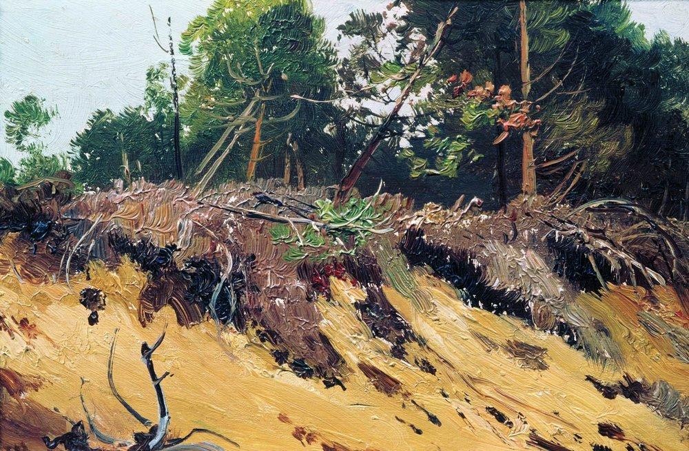 Landscape. Cliff by Ivan Shishkin
