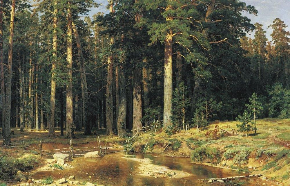 Mast Tree Grove by Ivan Shishkin