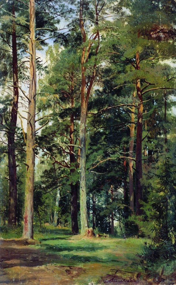 Meadow with pine trees by Ivan Shishkin
