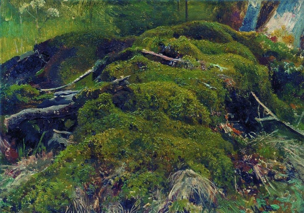 Moss. Roots by Ivan Shishkin