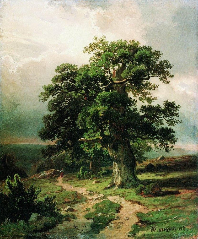 Oak by Ivan Shishkin