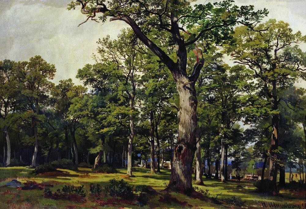 Oak forest by Ivan Shishkin