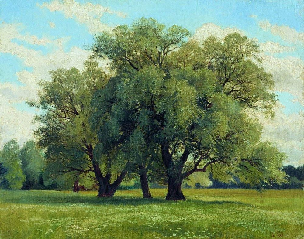 Oaks by Ivan Shishkin