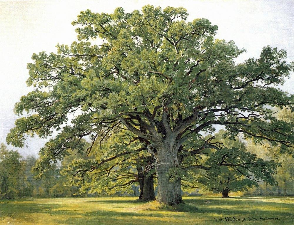 Oaks in Old Peterhof by Ivan Shishkin