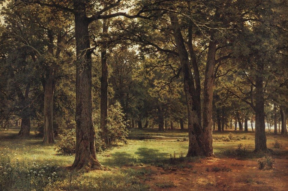 Oaks of Peter the Great in Sestroretsk by Ivan Shishkin