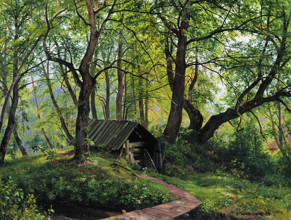 Old lime by Ivan Shishkin