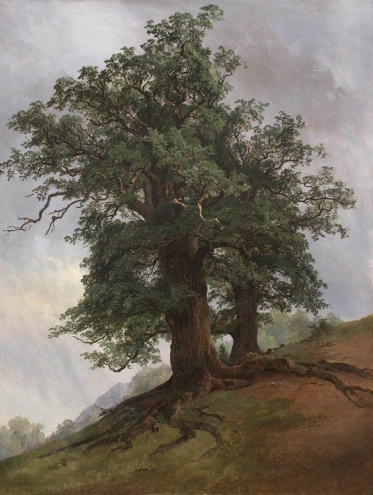 Old oak by Ivan Shishkin