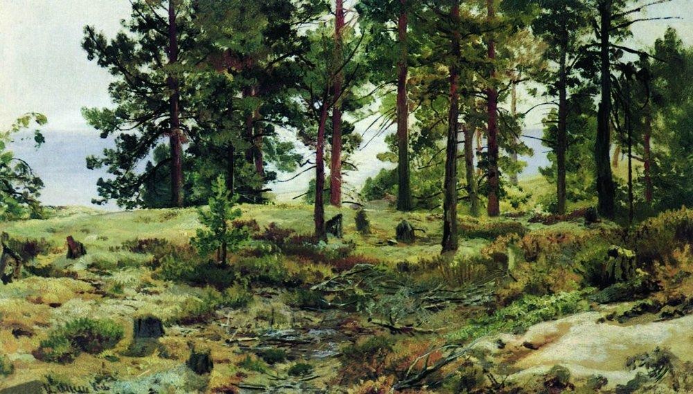 On sandy soil. Mary-Howie on Finnish Railways by Ivan Shishkin