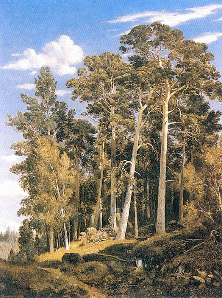 Pine forest by Ivan Shishkin