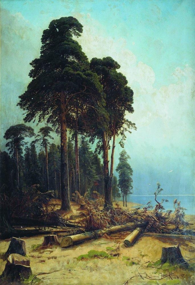 Pine forest by Ivan Shishkin