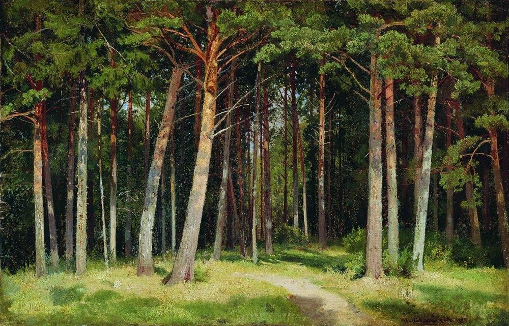 Pine forest by Ivan Shishkin