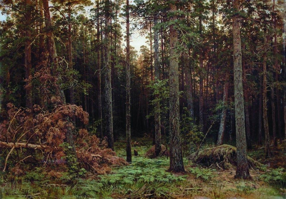 Pine forest by Ivan Shishkin