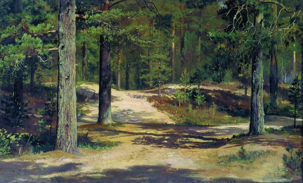 Pine forest by Ivan Shishkin