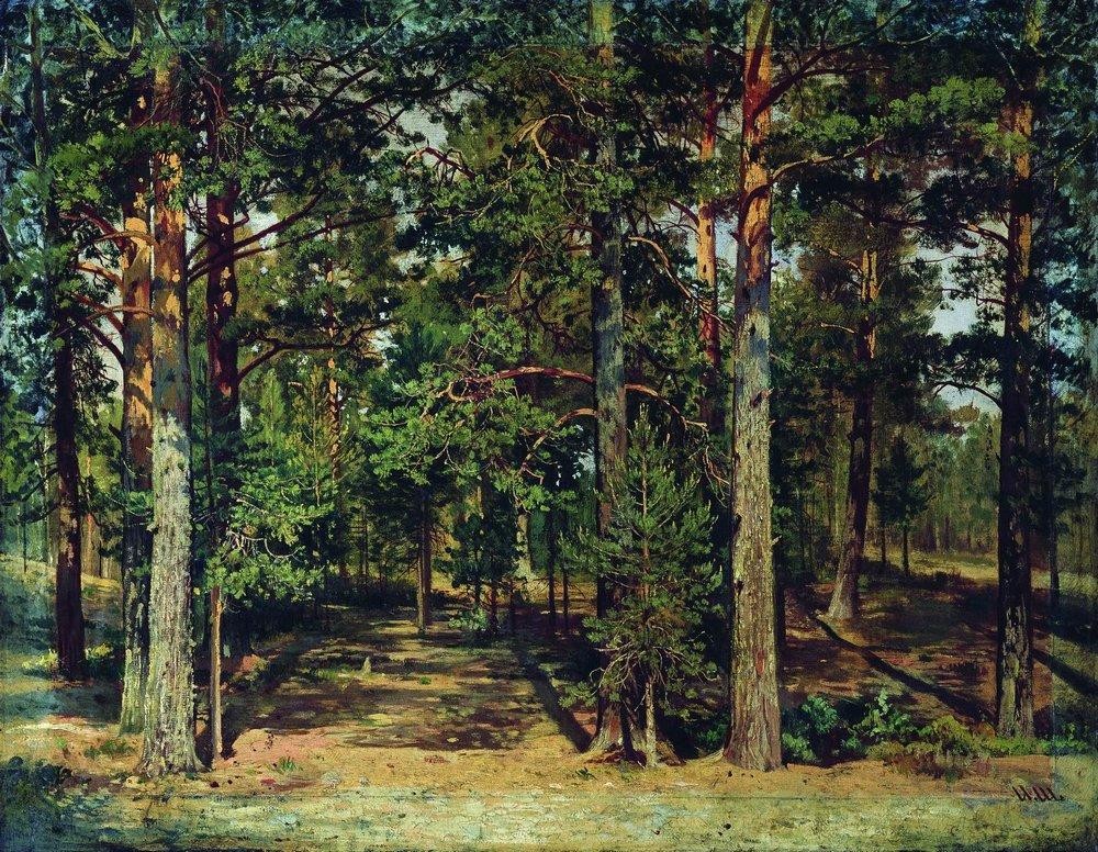 Pine forest by Ivan Shishkin