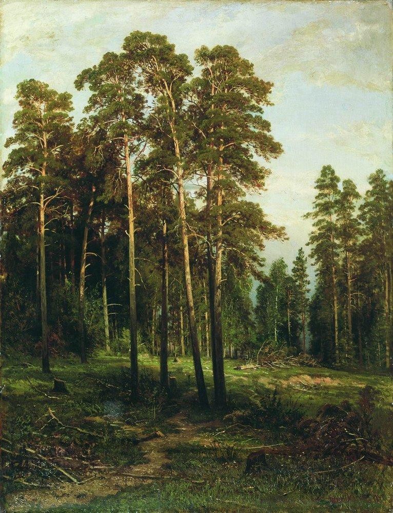 Pine forest by Ivan Shishkin