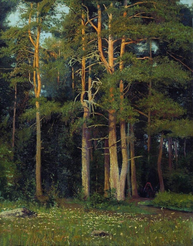 Pine forest in Ligovo by Ivan Shishkin