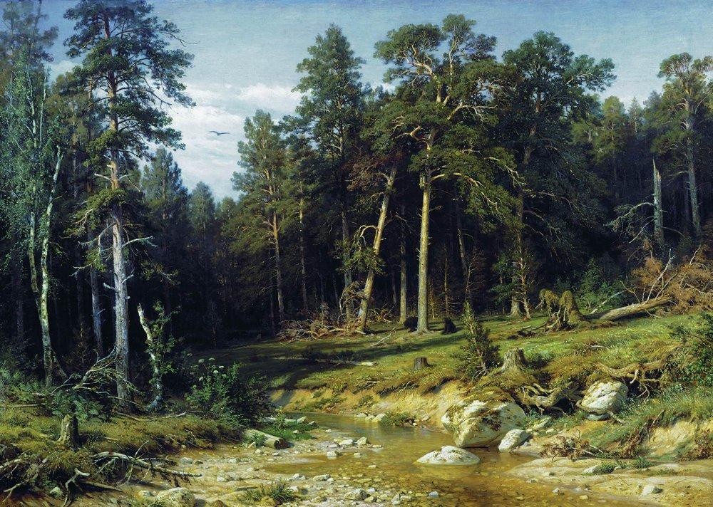 Pine Forest in Vyatka Province by Ivan Shishkin